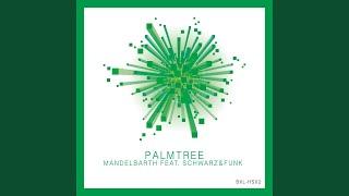 Palmtree Schwarz & Funk Remix