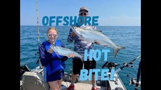 Offshore Salmon LIMIT Kings Coho and Lake Trout. East of Chicago on Lake Michigan 6212024