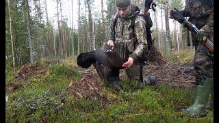 Metsäkanalinnun Metsästys 2020  Capercaillie Hunting Jakso 8