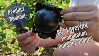 Air Layering Plant Propagation Pods - My Results & How To Use Them