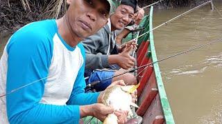 sensasi strike nya luar biasa di muara ini .. josss..