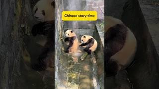 Chinese Story Time What are the pandas doing? #learnchinese #language