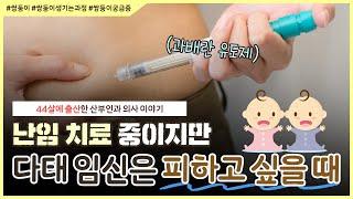 쌍둥이는 어떻게 생기나요?｜난임 치료도 이렇게 하면 쌍둥이 임신 확률이 떨어집니다 - 노노산부인과 ep125