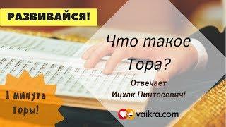 Что такое Тора?