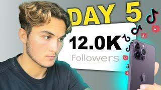 I Started A TikTok Theme Page From Scratch 5 Day Results Inside - Episode 1