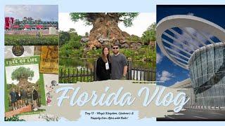 ORLANDO Day 14  Animal Kingdom MCO New Terminal & a Stormy Travel home