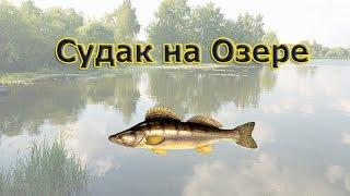 Русская Рыбалка 3.99 Russian Fishing Судак на Озере