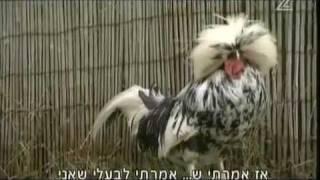 כך מגדלים חיות מחמד לא שגרתיות