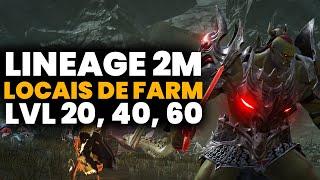 LINEAGE 2M - DICA RÁPIDA LOCAIS DE FARMAR EXP