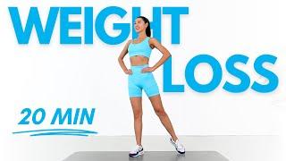 Standing Workout for Full Body Weight Loss - No Jumping No Repeat No Equipment