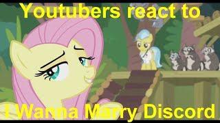 Youtubers React to I Wanna Marry Discord My Little Pony Friendship is Magic