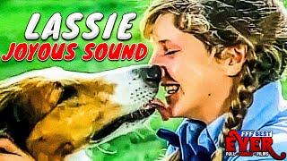 LASSIE - JOYOUS SOUND  Full FAMILY PUPPY Movie in ENGLISH