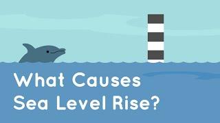 What Causes Sea Level Rise?