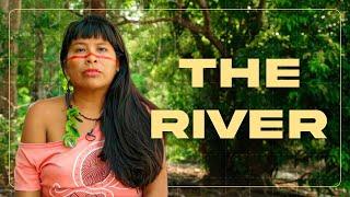 The Tapajó Indigenous Leaders Fighting to Save their River