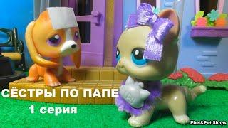 LPS СЁСТРЫ ПО ПАПЕ 1 серия