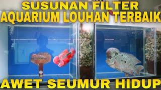 Settingan Aquarium Dan Susunan media filter ikan louhan terbaik awet seumur hidup