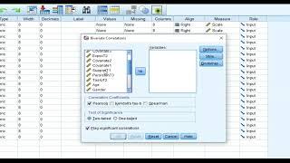 Pearson Correlation with Likert Scale Data in SPSS