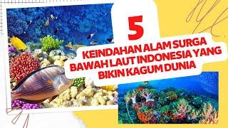 5 KEINDAHAN ALAM SURGA BAWAH LAUT INDONESIA YANG BIKIN KAGUM DUNIA