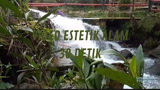 VIDEO SINEMATIK ALAM 30 DETIK  CINEMATIC SUNGAI  KALIMAS