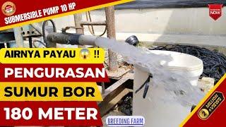 PROSES PENGURASAN SUMUR BOR 180 METER  SUBMERSIBLE 10 HP AIRNYA PAYAU ANTA ‼️