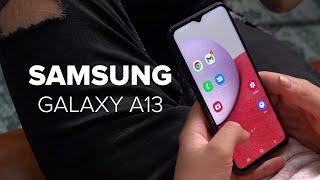 Samsung Galaxy A13 im Test Taugt der Preiskracher?  Verarbeitung  Display  Kameraqualität