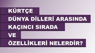 Kürtçe dünya dilleri arasında kaçıncı sırada ve özellikleri nelerdir? #kürtçedili #kürtçe #kurdî