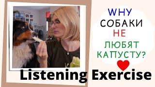 Listen to real Russian for beginners