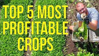 Unlock the Secret to Maximum Profits The Top 5 Most Lucrative Crops for Market Gardeners Revealed