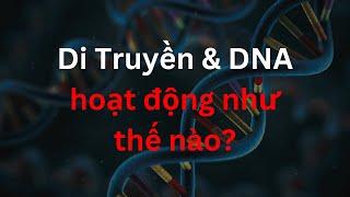 Tổng hợp khám phá khoa học về Di Truyền và DNA  Tri Thức Nhân Loại