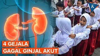 Waspada Ini 4 Gejala Gagal Ginjal Akut pada Anak