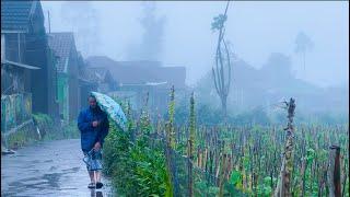 Penampakan Desa Terdingin Jawa Barat Cikajang-Garut. Inilah Swiss Van Java Setiap Hari Turun Kabut
