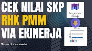 BARU CEK NILAI SKP HASIL PENGELOLAAN KINERJA PMM DI EKINERJA BKN