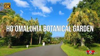 Hoomaluhia Botanical Garden From HI-63 Likelike Hwy  Drive into Natual Garden  Hawaii 5K Driving