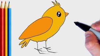 fast-version How to Draw Canary Simple  Step by Step Tutorial For Kids