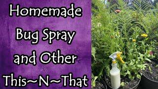 Homemade Bug Spray and Other ThisNThat