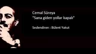 Cemal Süreya - Sana Giden Yollar Kapalı