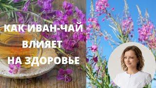 Влияние иван-чая на здоровье.