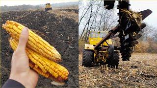 #АгороБизнес на Кукурузе в Донецкой обл. Урожай 70ц. без полива