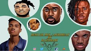 Best GhanaNaija 2020 Mix By Dj Zamani  SarkodieBurnaBoyTeniShatta WaleKuamiEugene