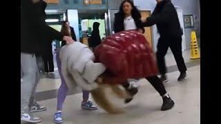 Another Girl Ned Fight at Partick Train Station in Glasgow