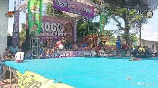 Jaranan ROGO SAMBOYO PUTRO ft SHF AUDIO live Gurah Kediri