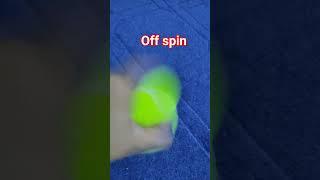 types of balls in cricket