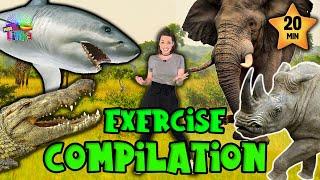Animals Exercise Compilation  Indoor Workout for Kids  PE Kids Fitness
