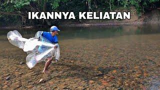 JALA IKAN SAAT SUNGAI JERNIH PASTI PANEN IKAN ‼️