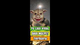 BABI NGEPET #shorts #babingepet #viral