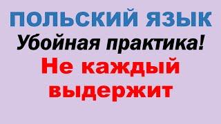 Польский язык. Весь В1. Часть 1.  Первые 16 уроков из плейлиста В1 с зубрежкой.