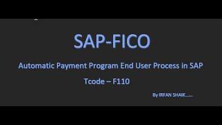 Automatic Payment Program RUN - F110