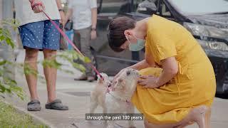 Go on a virtual tour around Tiong Bahru with Minister Indranee Rajah