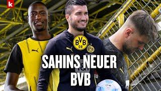 Guirassy ist nicht die Lösung Was beim BVB für Titel wirklich passieren muss  kicker klärt auf