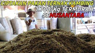 BERHASIL PRODUKSI PAKAN TERNAK KAMBING TERMURAH SENUSANTARA 1700KG